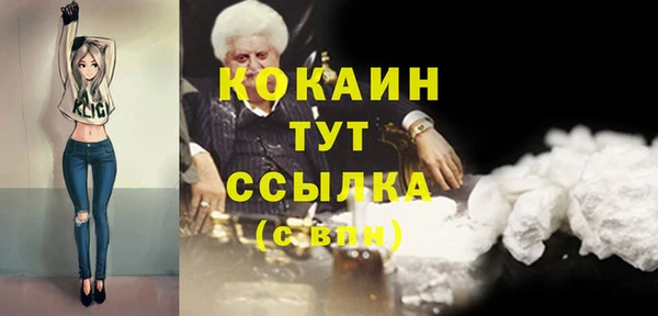 трава Белокуриха