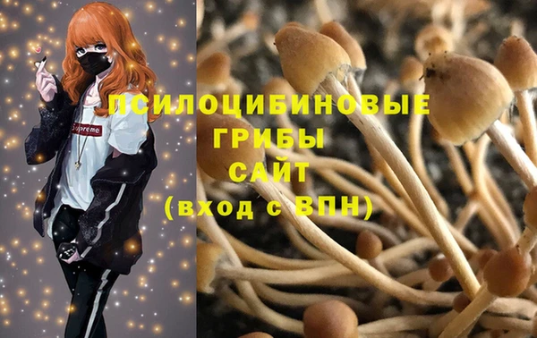 трава Белокуриха