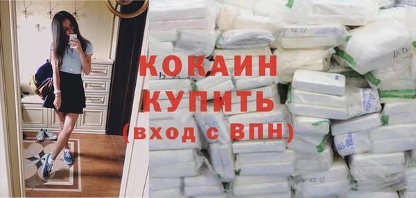 трава Белокуриха